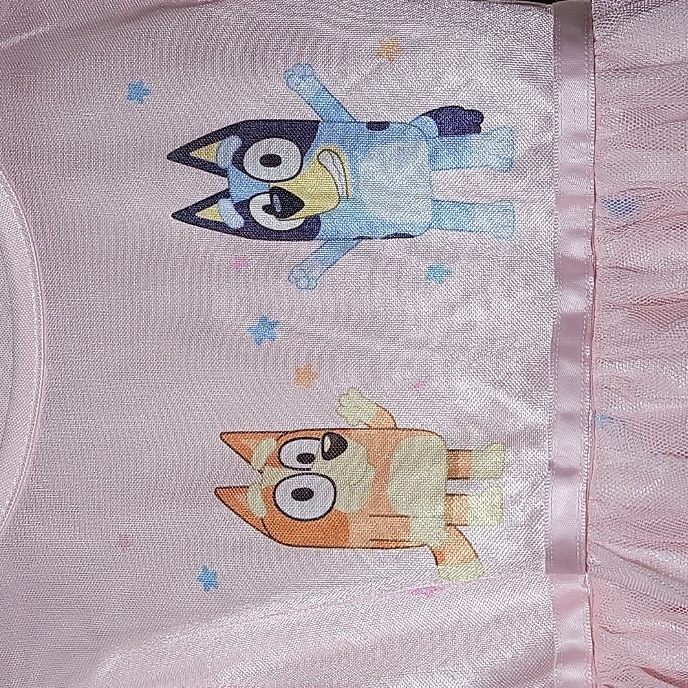 Bluey Nightgown /Pink Silky Dress-Up Pajamas / NWOT Size 5T - Picture 2 of 10